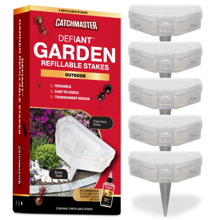 Ant Traps