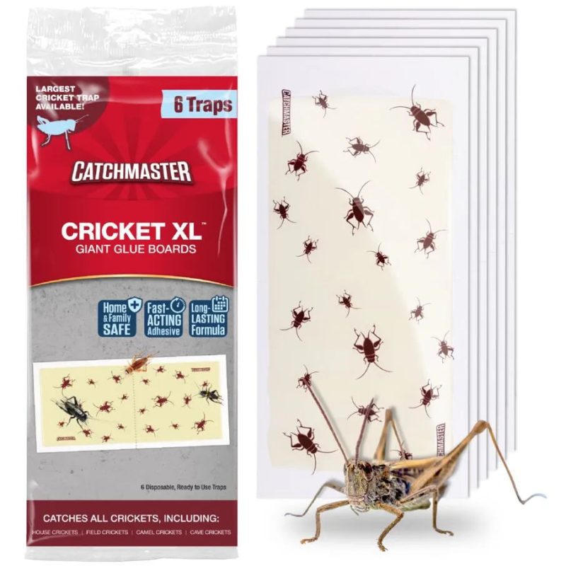 CricketXL Cricket Patterned Glue Board Traps