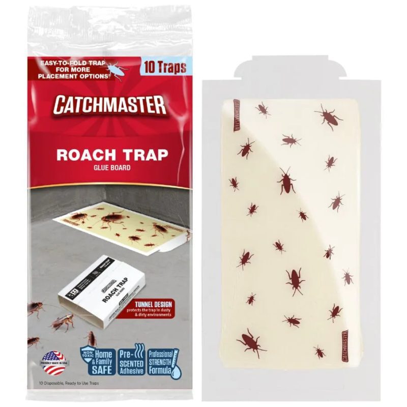 Cockroach Glue Trap